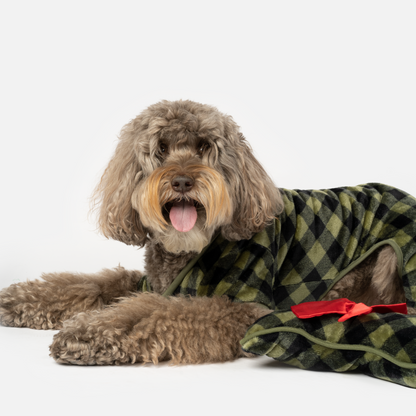 Conjunto de pijama y medias para perro Elf - Cuadros verdes