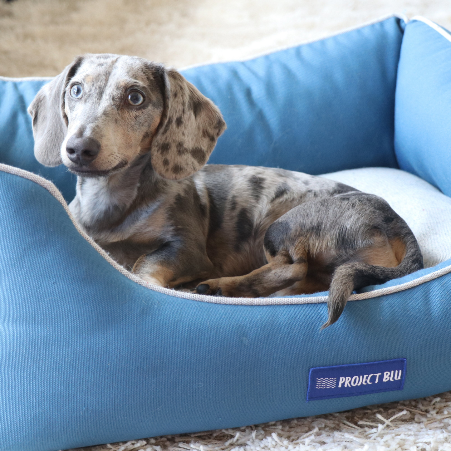 Marlin Eco-Fabric Bolster Dog Bed