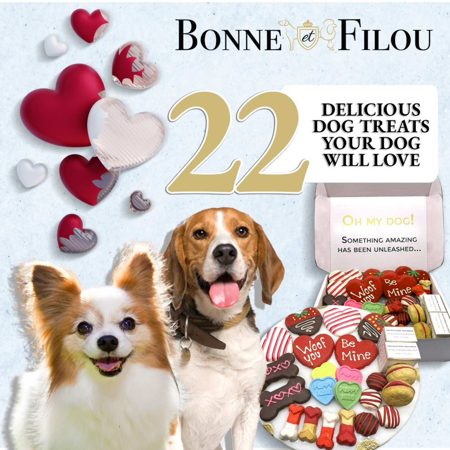 Bonne et Filou Valentine's Themed Dog Treats Box