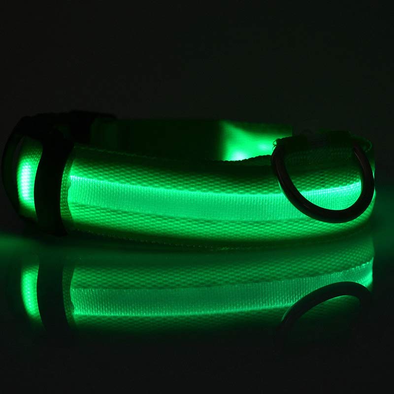 Nylon LED Pet Dog Luminous Collar: Night Safety Flashing Glow in Dark Dog Cat Leash