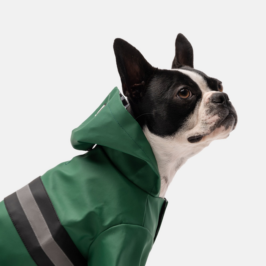 Chubasquero para perros Aden - Verde