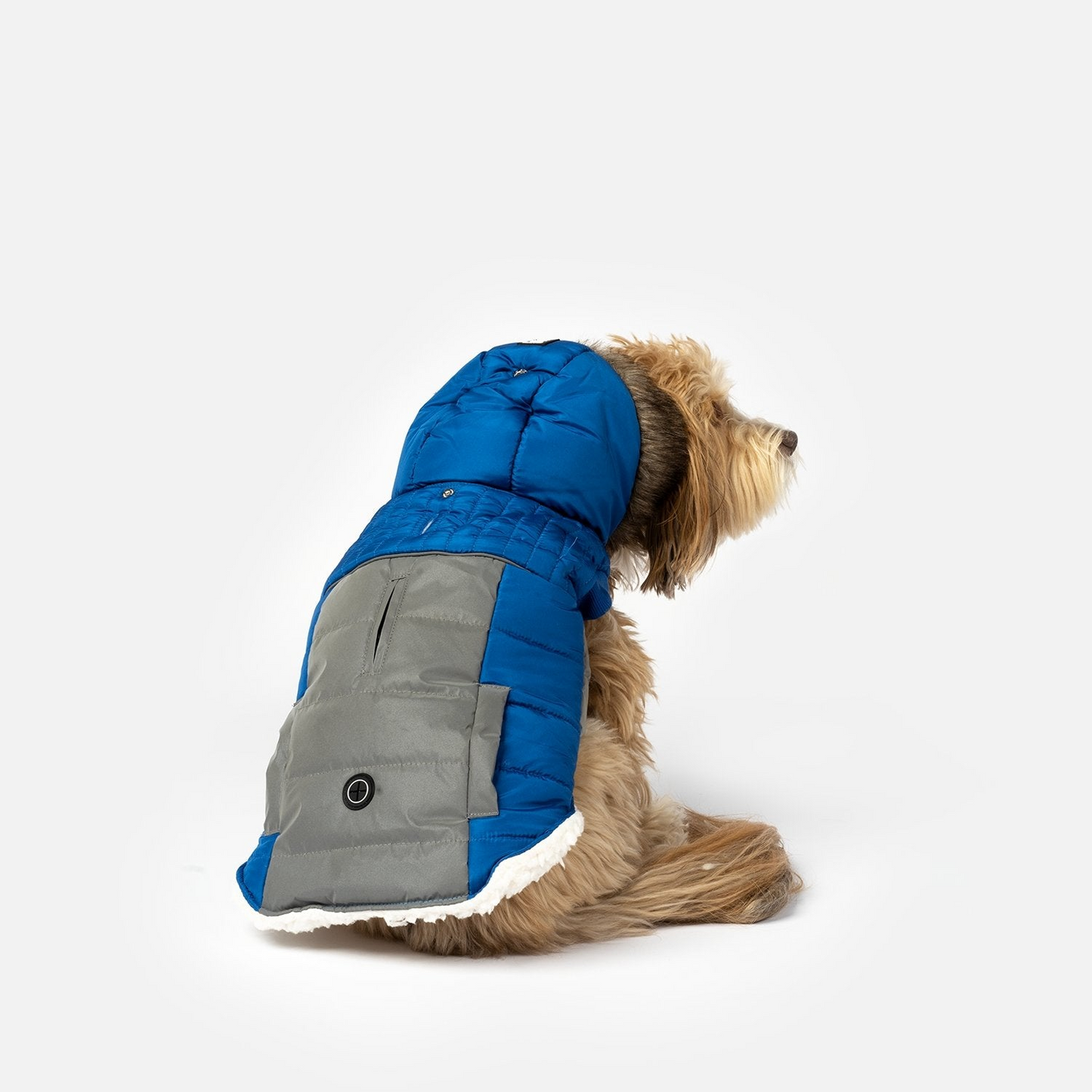 Chaqueta para perros Bailey - Azul