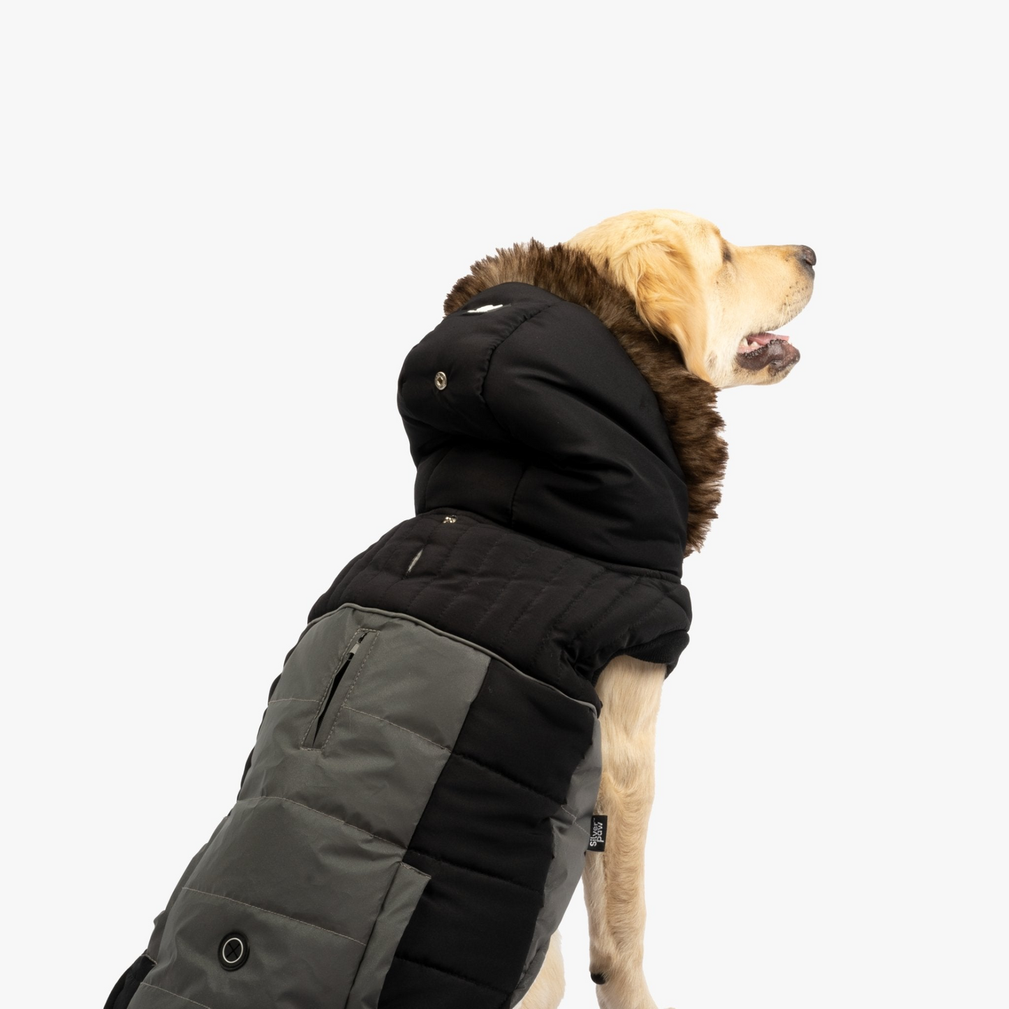 Chaqueta para perro Bailey - Negro