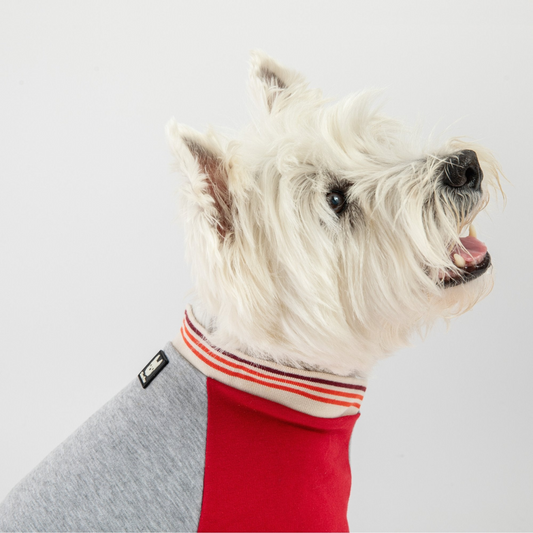 Sudadera Chase Dog - Rojo