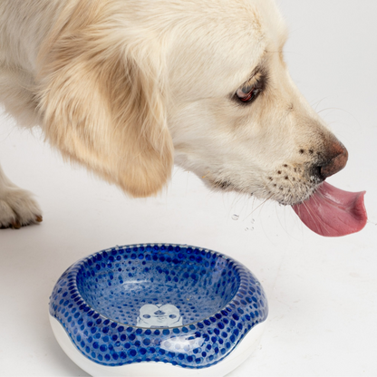 Cuenco para perros compacto y refrescante