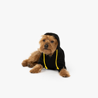 Sudadera con capucha para perro Connor: estilo perfecto para tu cachorro