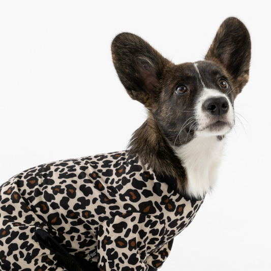 Pijama para Perro - Leopardo