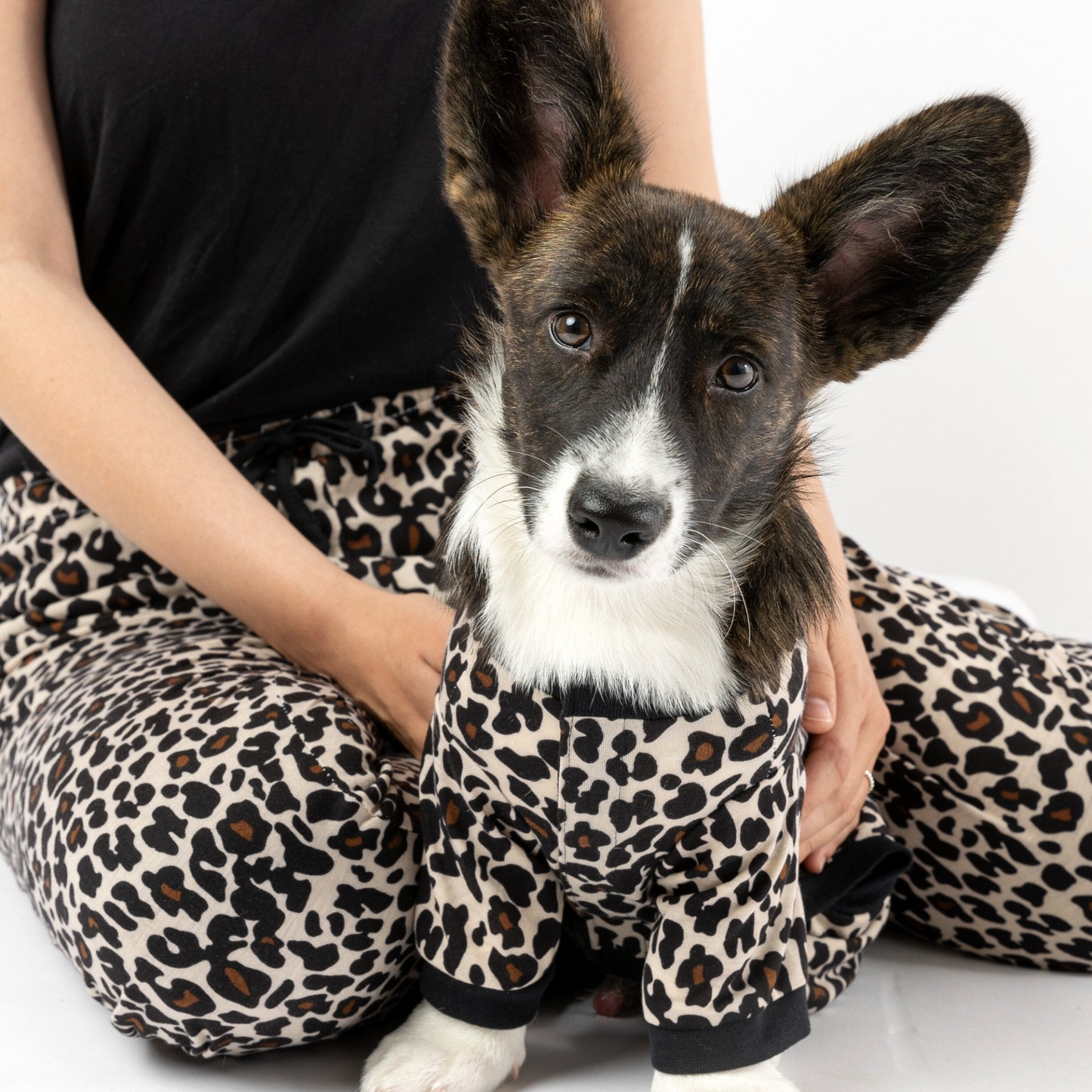 Dog Pajama - Leopard