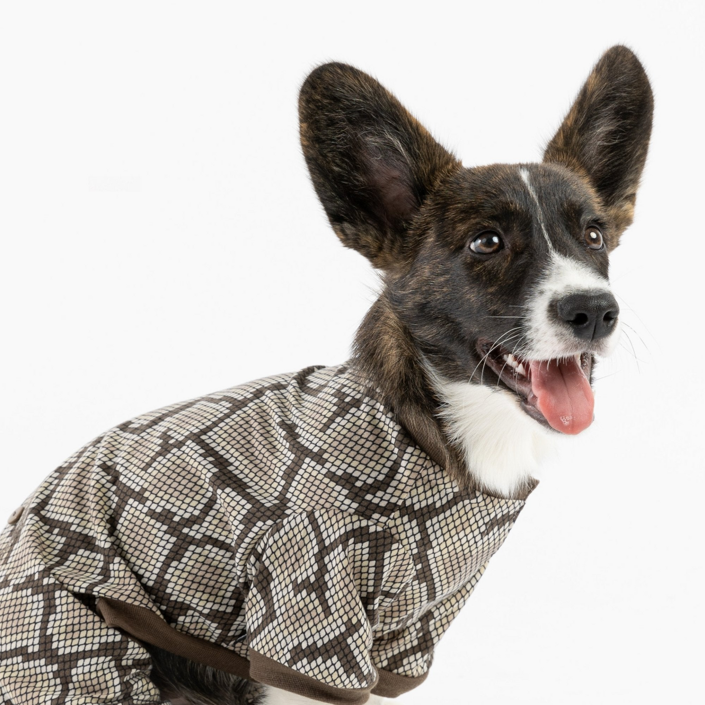 Dog Pajama - Snakeskin