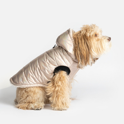 Chaqueta para perro Emma - Rosa brillante