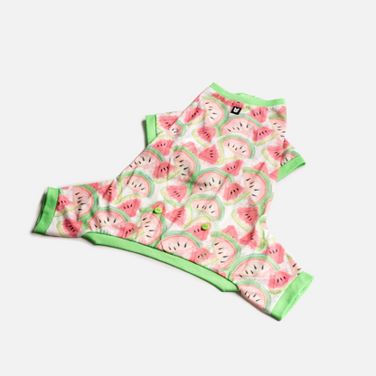 Pijama para perros de frutas - Sandía