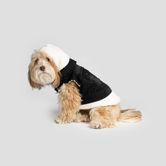 Justin - Chaqueta vaquera para perros (negro)