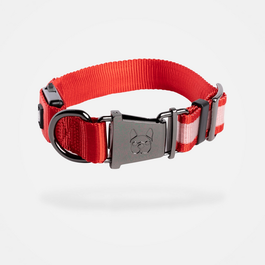 LED Dog Collar - Red