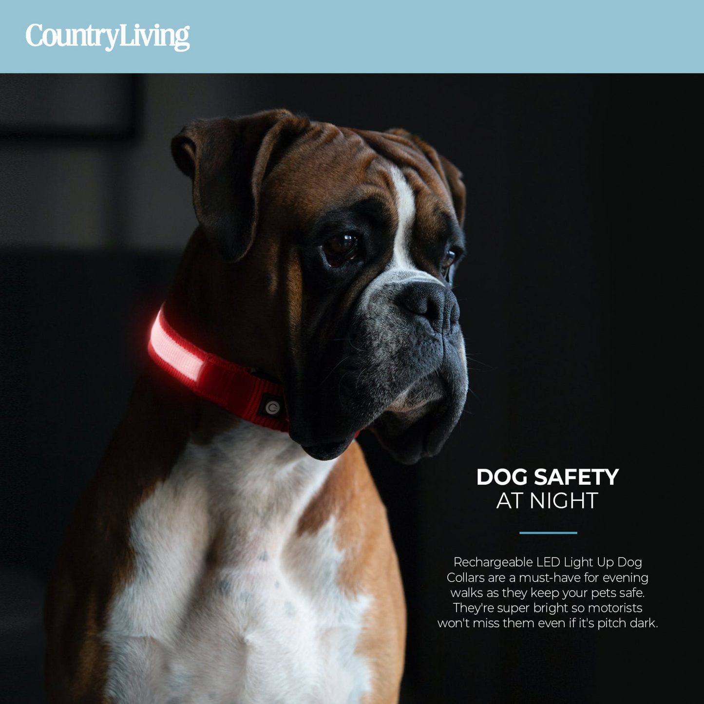 Collar para perro LED - Rojo