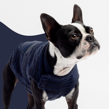 Silver Paw Mia Dog Sweater - Blue