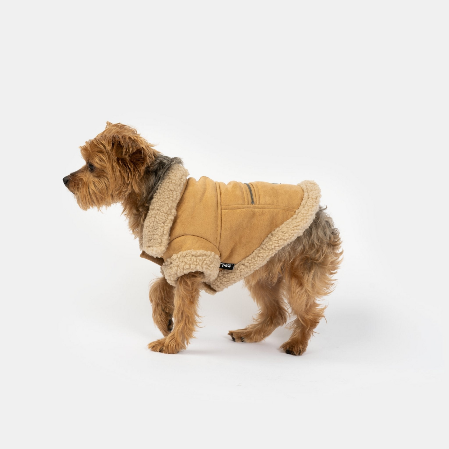 Chaqueta para perro Millie