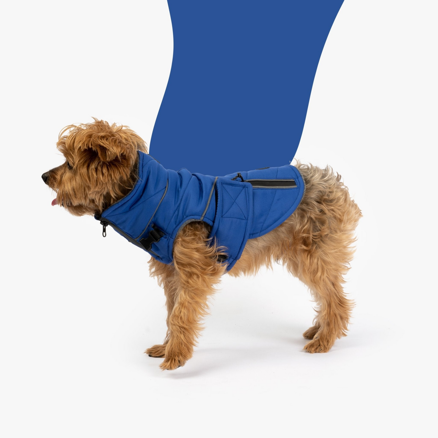 Chaqueta para perro Monty