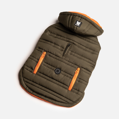 Noah Dog Jacket - Cypress