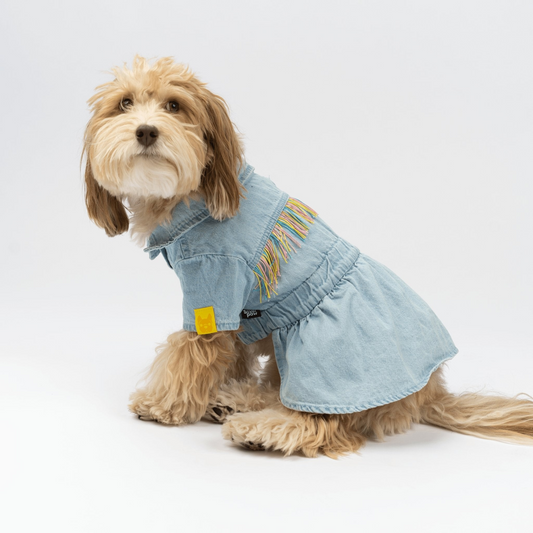 Vestido para perros Ocean Denim