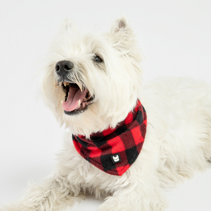 Bandana para perro a cuadros - Rojo