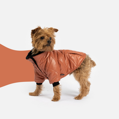 Chaqueta para perros Phoenix - Terracota