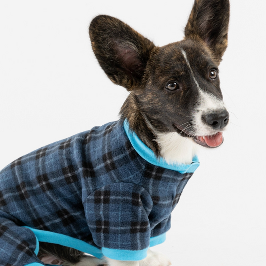 Pijama para perro a cuadros - Azul