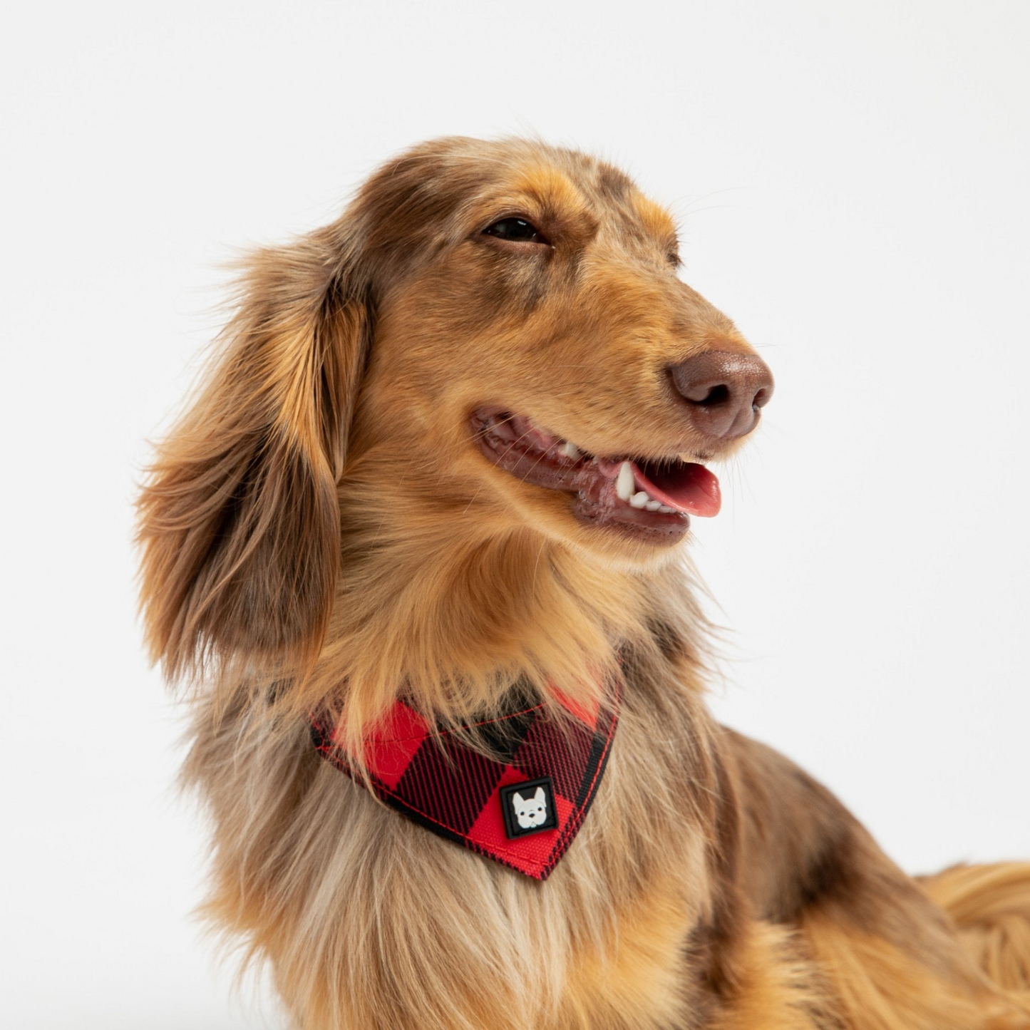 Collar para perro con bandana de popelina - Cuadros rojos