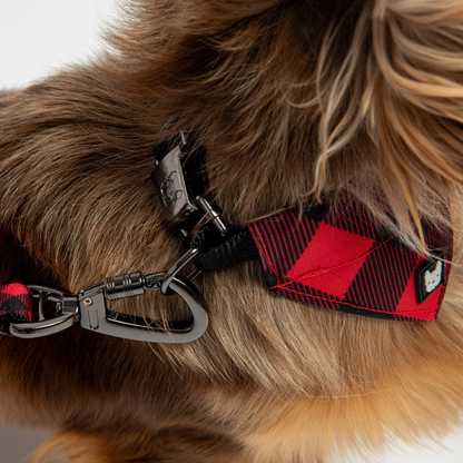 Collar para perro con bandana de popelina - Cuadros rojos