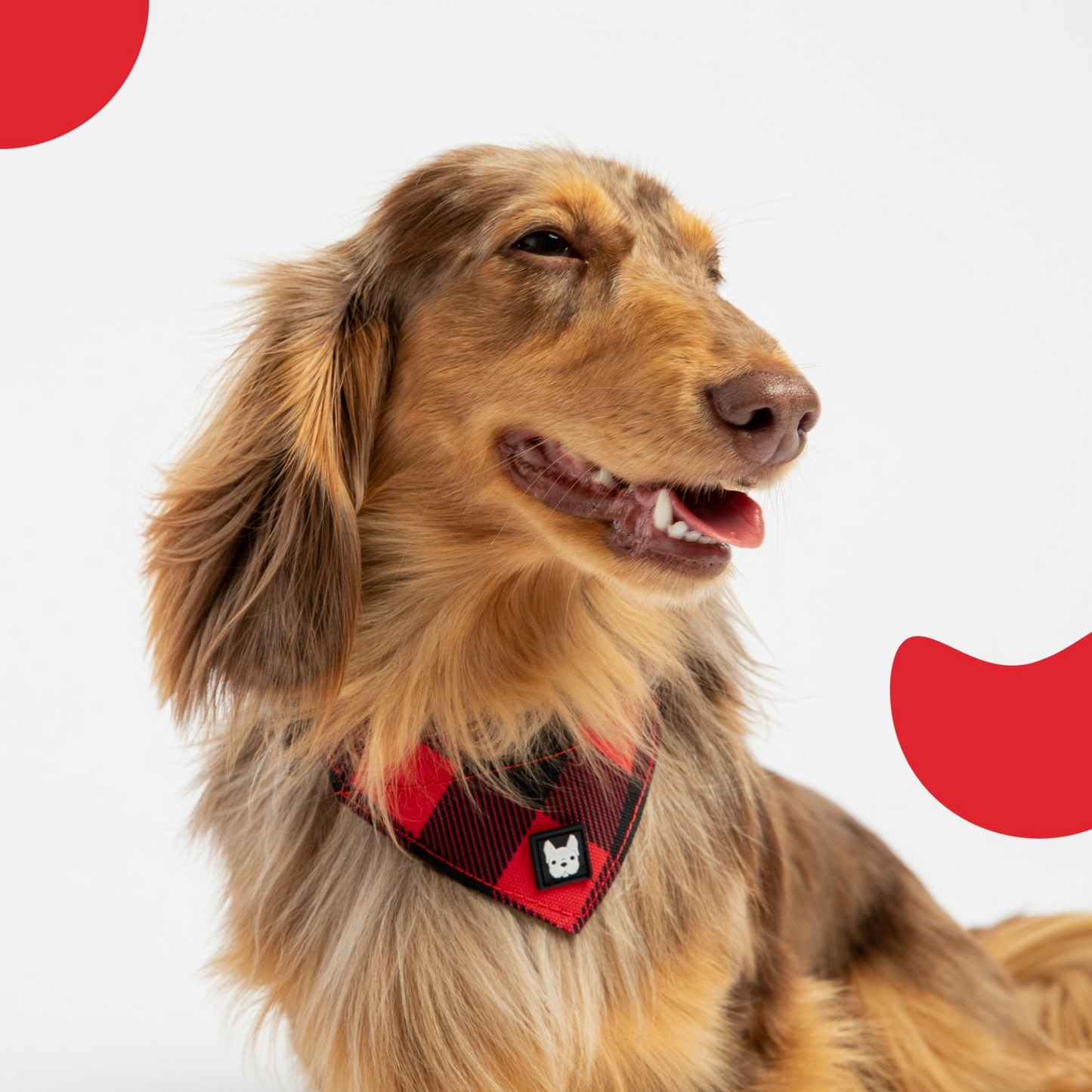 Arnés para perros de popelina - Cuadros rojos