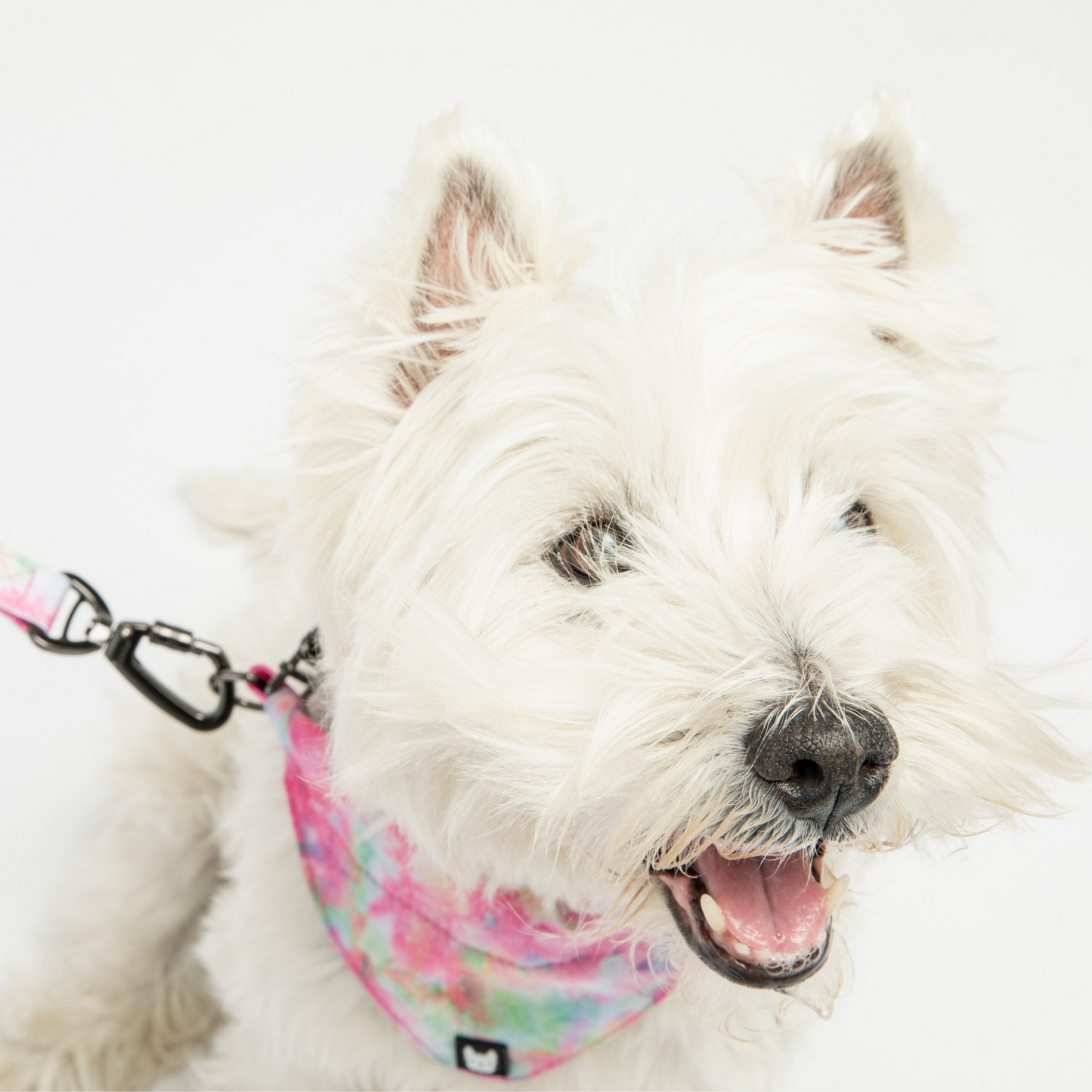 Collar Bandana Para Perros De Popelina - Tie Dye Rosa