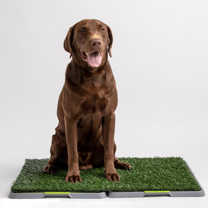 Parche para ir al baño - Entrenador de perros reutilizable