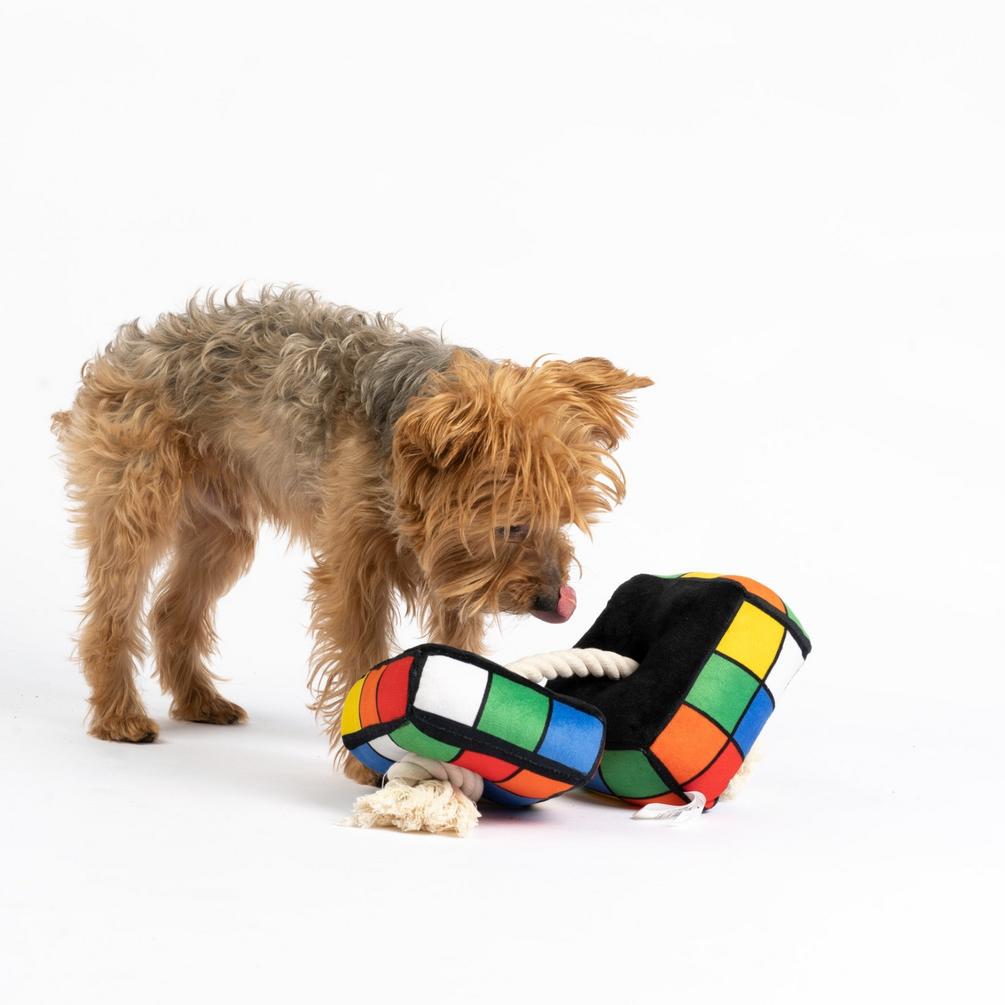 Juguete para perros Cubo Rubix