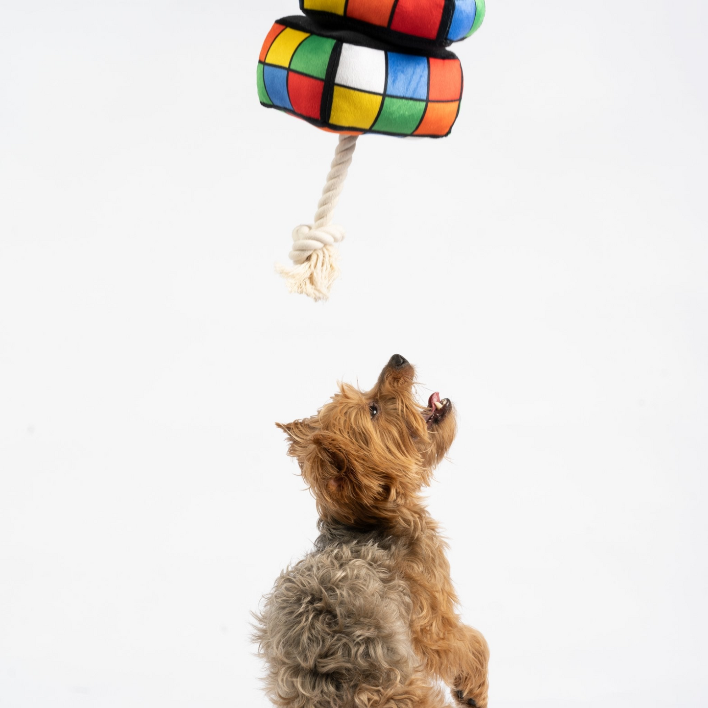 Juguete para perros Cubo Rubix