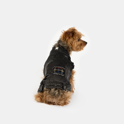 Chaqueta para perro Spencer