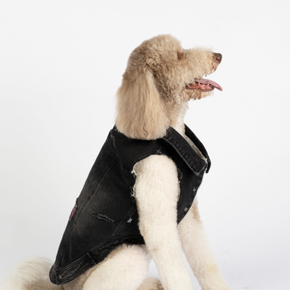 Chaqueta para perro Spencer