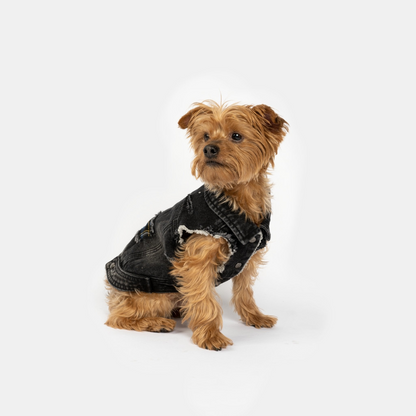 Chaqueta para perro Spencer