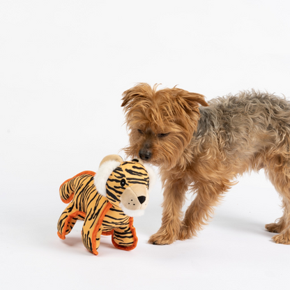 Tiger Plush Dog Toy