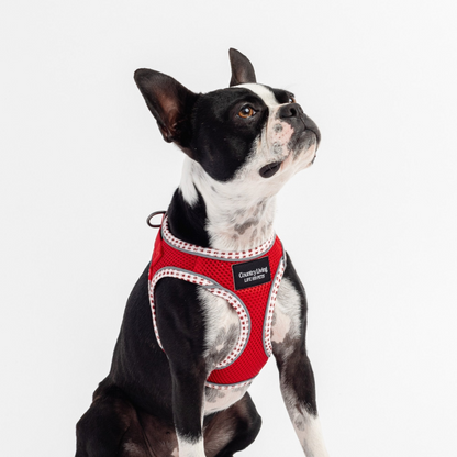 Step-In Dog Harness - Red