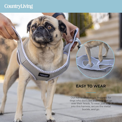 Step-In Dog Harness - Grey