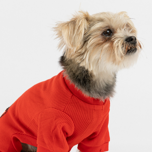 Pijama Térmico para Perros - Rojo