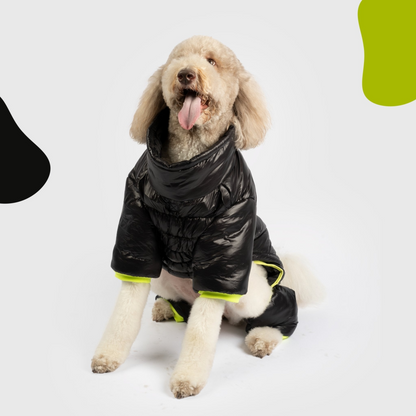 Traje de nieve para perros Whistler de cuerpo entero - Negro