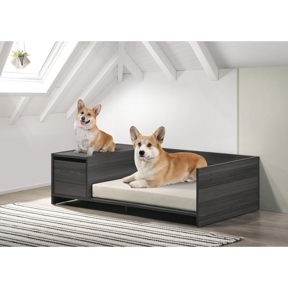 Esme Ash Gray 47" Wide Modern Comfy Pet Bed with Cushion and Side Storage Compartment