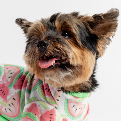 Pijama para perros de frutas - Sandía