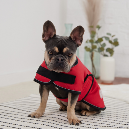 Stay Dry and Cozy with the GF PET Blanket Jacket in Vibrant Red