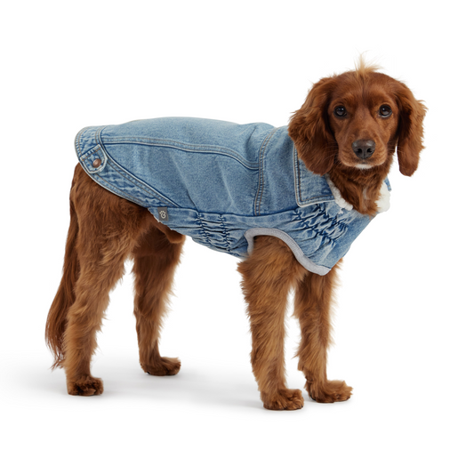 GF Pet Denim Jacket - Light Wash