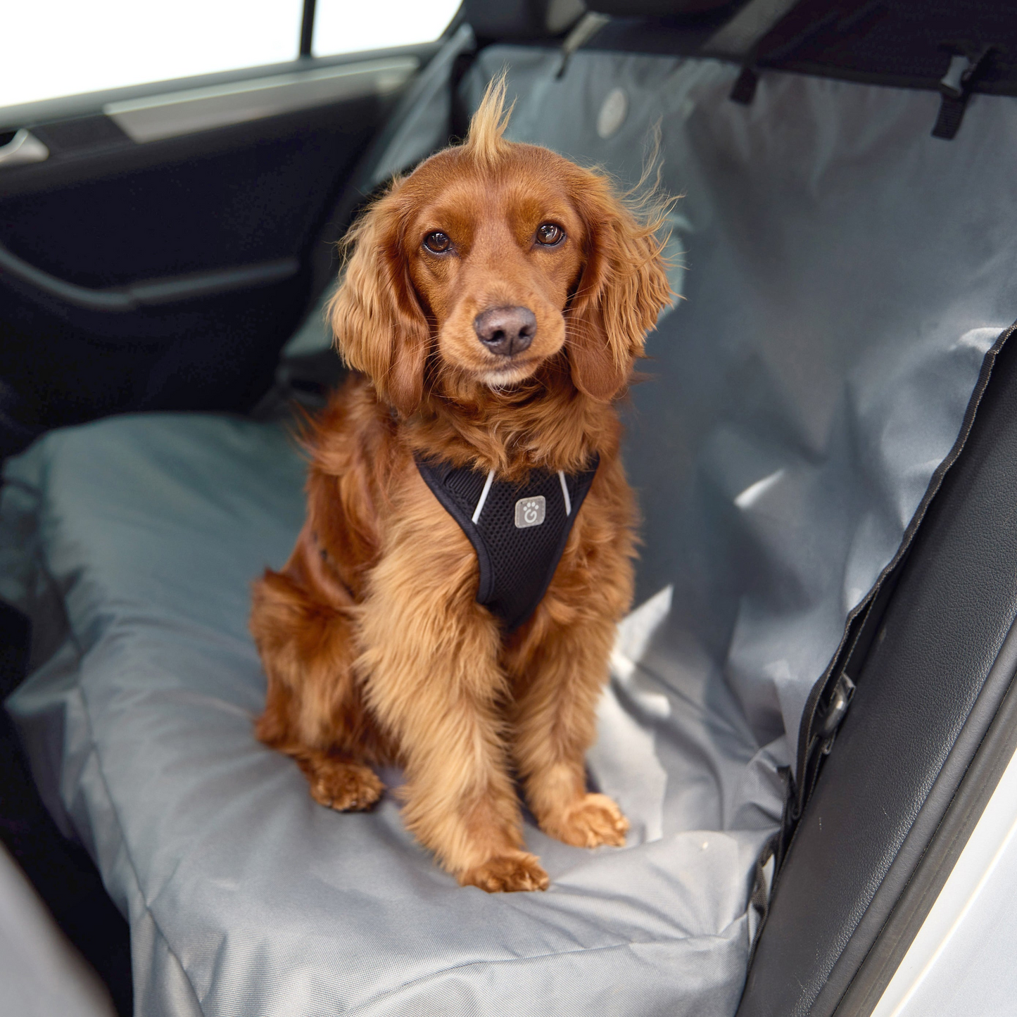 Waterproof Pet Bench Cover: Protect Your Car Seats from Dirt, Water, and Pet Hair