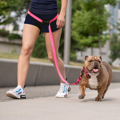 Reflective Leash - Neon Pink