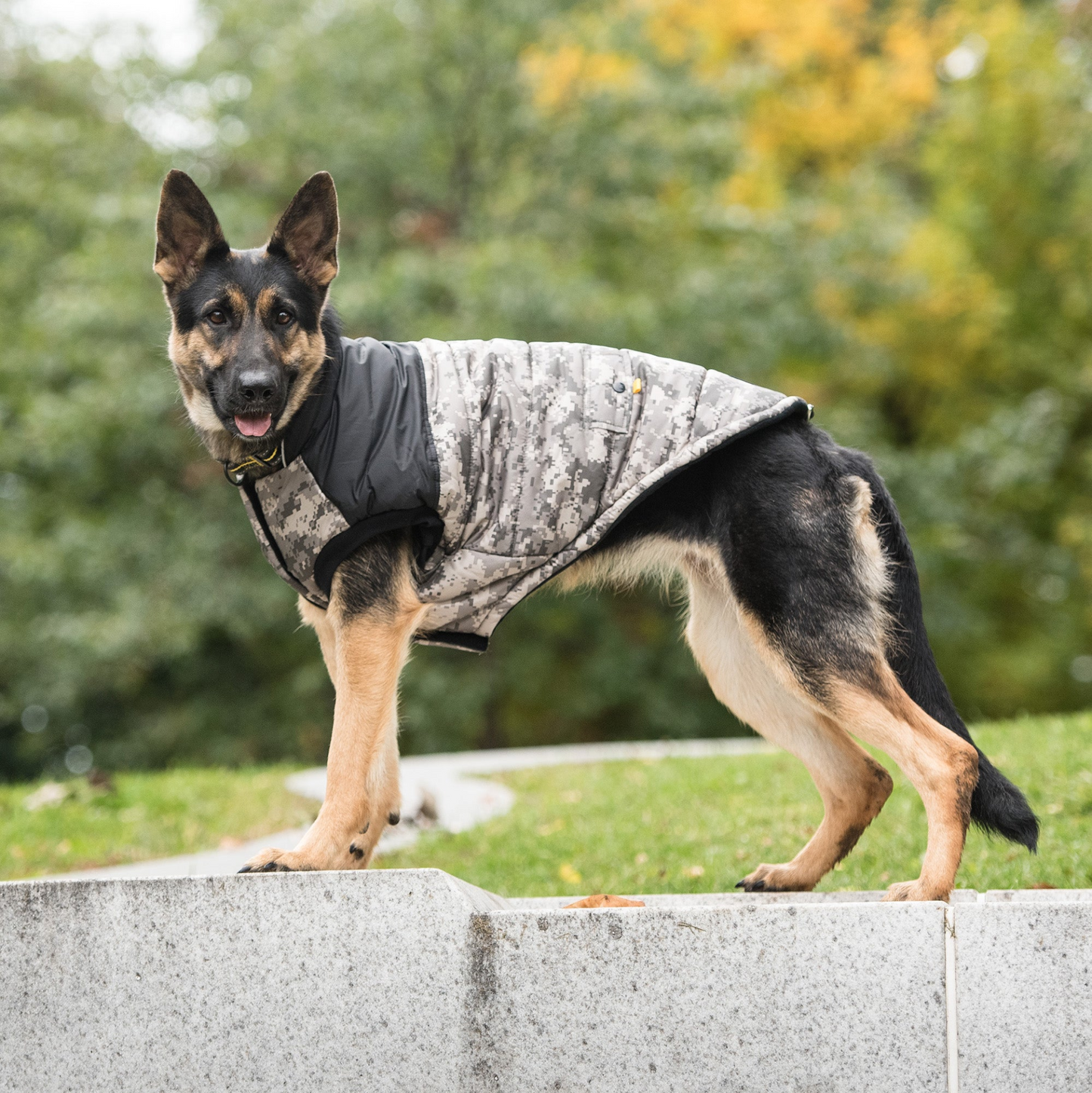 Chaqueta para perros del ejército estadounidense - Camuflaje