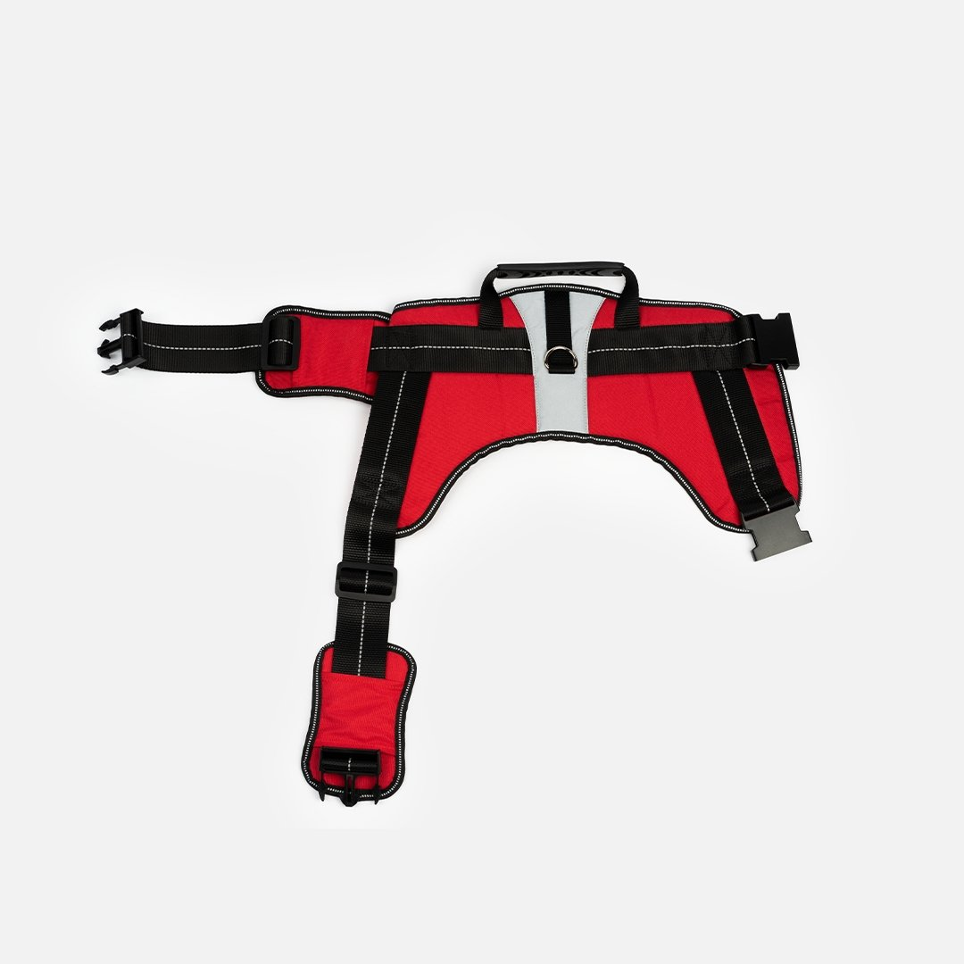 Heavy Duty Harness Red