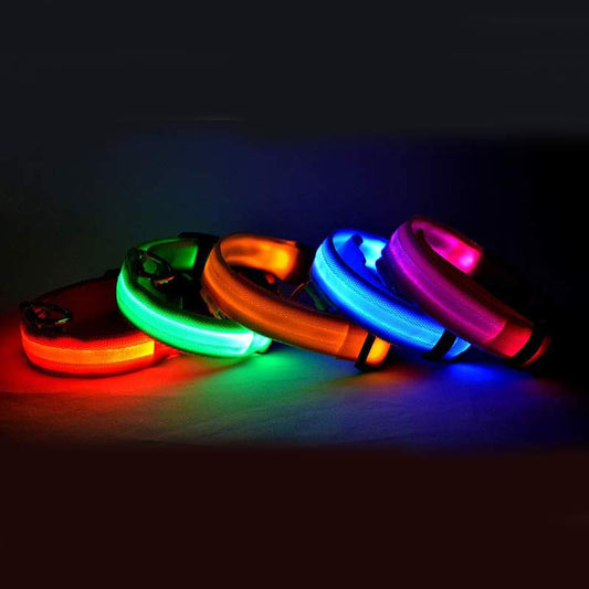 Nylon LED Pet Dog Luminous Collar: Night Safety Flashing Glow in Dark Dog Cat Leash